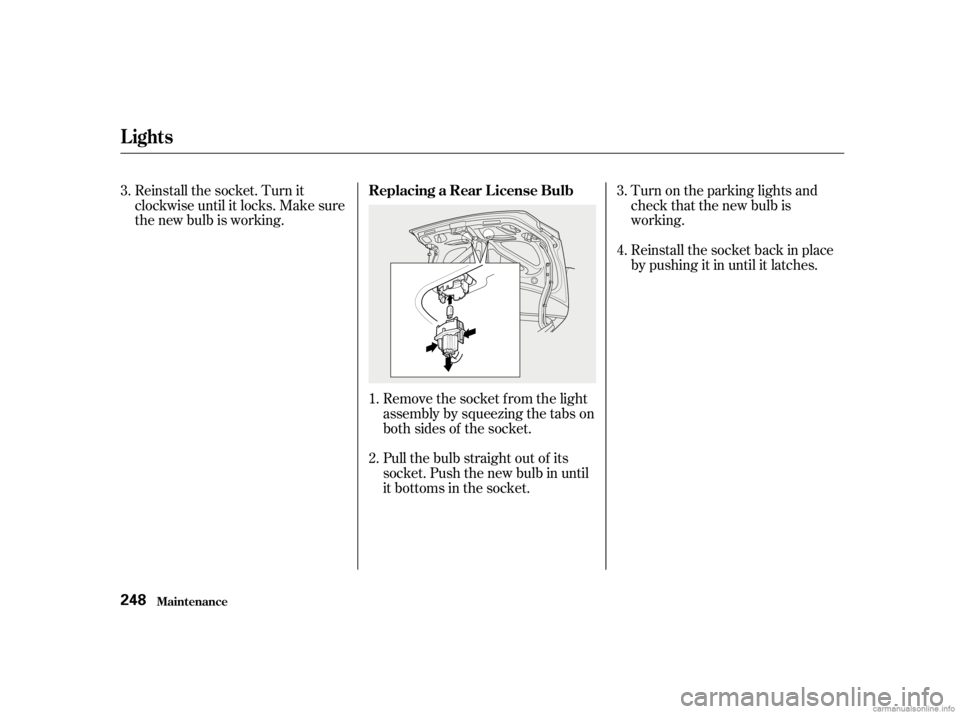 HONDA CIVIC SEDAN 2001   (in English) User Guide Turn on the parking lights and
check that the new bulb is
working.
Reinstall the socket. Turn it
clockwise until it locks. Make sure
the new bulb is working.
Remove the socket f rom the light
assembly