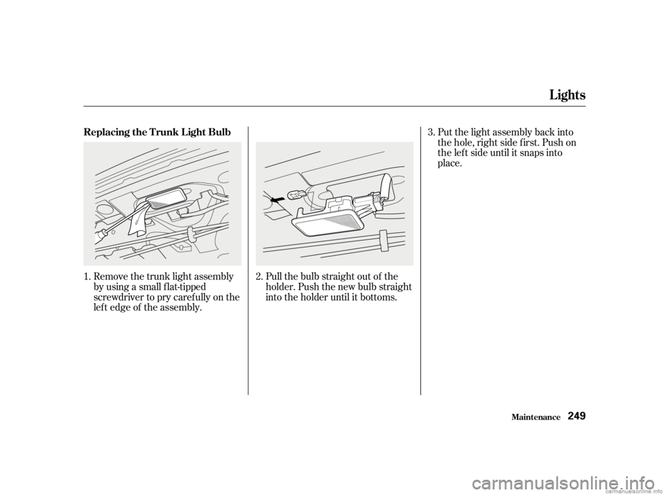 HONDA CIVIC SEDAN 2001  Owners Manual (in English) Pull the bulb straight out of the
holder. Push the new bulb straight
into the holder until it bottoms.
Remove the trunk light assembly
by using a small f lat-tipped
screwdriver to pry caref ully on th