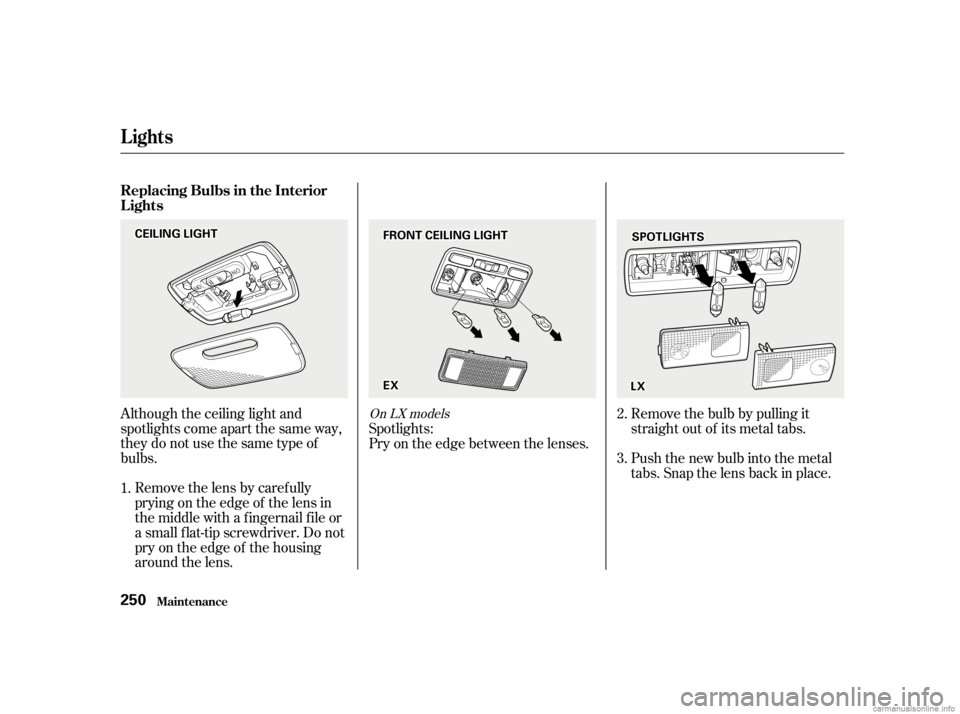 HONDA CIVIC SEDAN 2001   (in English) User Guide Removethelensbycarefully
prying on the edge of the lens in
the middle with a f ingernail f ile or
a small f lat-tip screwdriver. Do not
pry on the edge of the housing
around the lens.
Although the cei