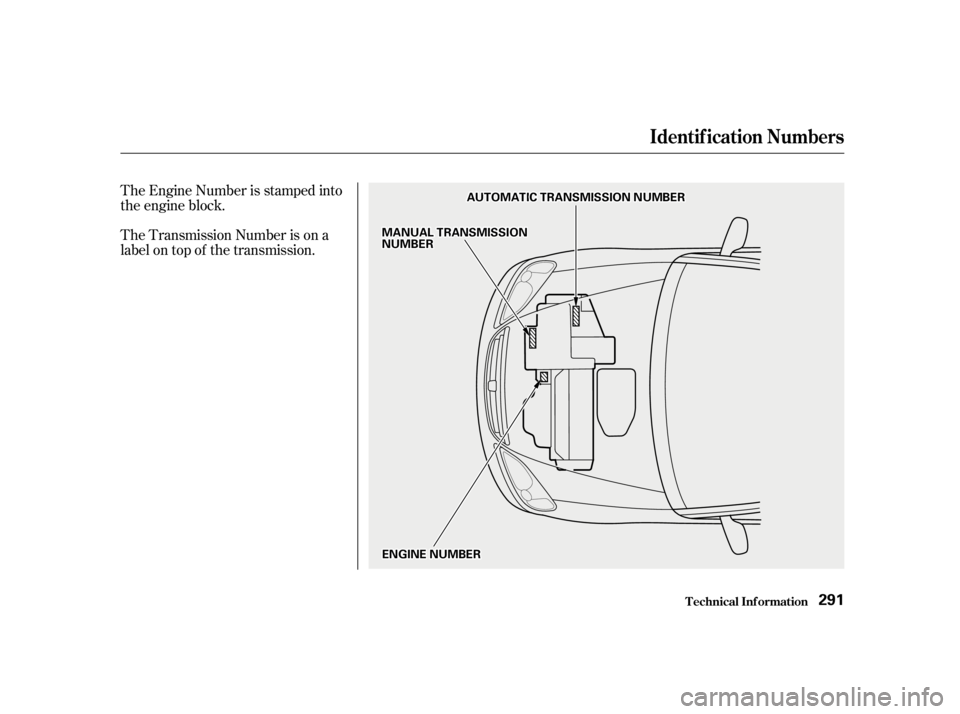 HONDA CIVIC SEDAN 2001  Owners Manual (in English) The Engine Number is stamped into
the engine block.
The Transmission Number is on a
label on top of the transmission.
Identif ication Numbers
T echnical Inf ormation291
E EN
NG GIINNE E N
NUUMM B
BEER