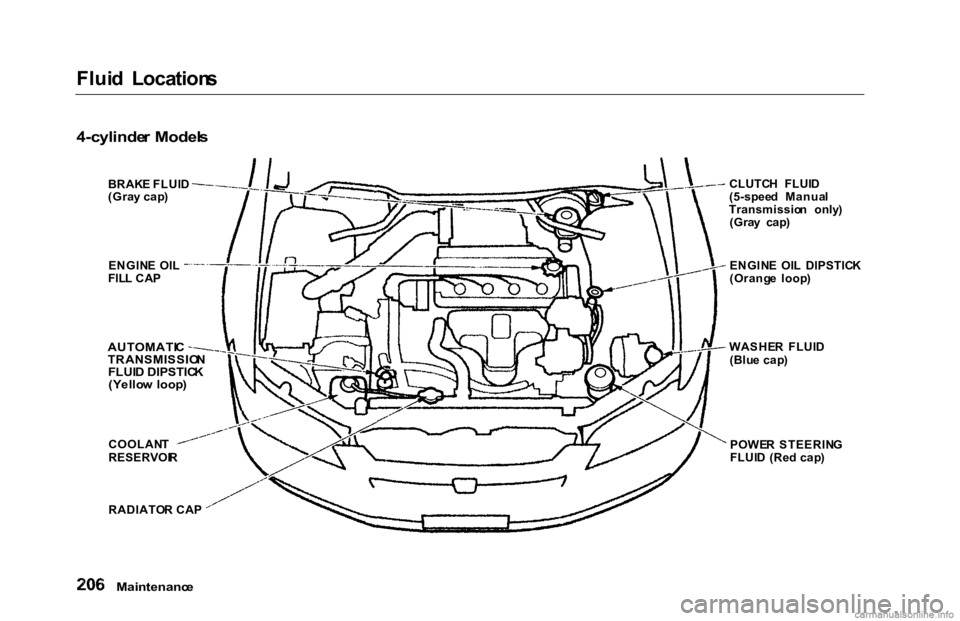 HONDA ACCORD SEDAN 2000  Owners Manual (in English) 
Flui
d  Location s

4-cylinde r Model s

Maintenanc e

BRAK
E FLUI D
(Gra y cap )
ENGIN E  OI L
FIL L CA P

AUTOMATI C

TRANSMISSIO N

FLUI D DIPSTIC K
(Yello w  loop )

COOLAN T
RESERVOI R
RADIATO R
