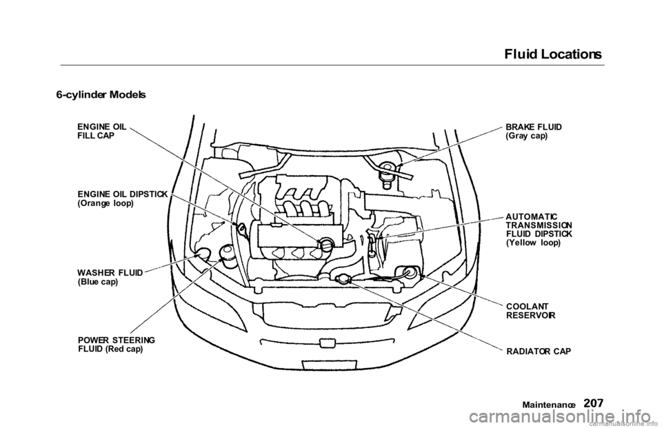 HONDA ACCORD SEDAN 2000  Owners Manual (in English) 
Flui
d Location s

6-cylinde r Model s

Maintenance

ENGIN
E  OI L
FILL  CAP
ENGIN E OI L  DIPSTIC K
(Orang e  loop )
WASHE R  FLUI D
(Blu e cap )
POWE R  STEERIN G
FLUI D (Re d cap )
RADIATOR  CA P
