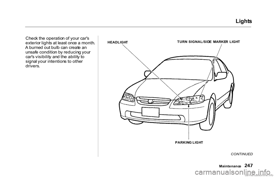 HONDA ACCORD SEDAN 2000 Owners Manual (in English) Light
s
Chec k th e operatio n o f you r car' s
exterio r light s a t leas t onc e a month .
A burne d ou t bul b ca n creat e a n
unsaf e conditio n b y reducin g you r
car' s visibilit y HONDA ACCORD SEDAN 2000 Owners Manual (in English) Light
s
Chec k th e operatio n o f you r car' s
exterio r light s a t leas t onc e a month .
A burne d ou t bul b ca n creat e a n
unsaf e conditio n b y reducin g you r
car' s visibilit y