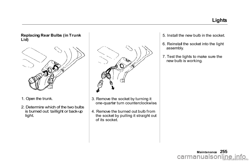 HONDA ACCORD SEDAN 2000 Owners Manual (in English) Light
s
Replacin g Rea r Bulb s (i n Trun k
Lid )
1 . Ope n th e trunk .
2 . Determin e whic h o f th e tw o bulb s
i s burne d out : tailligh t o r back-u p
light .
3
. Remov e th e socke t b HONDA ACCORD SEDAN 2000 Owners Manual (in English) Light
s
Replacin g Rea r Bulb s (i n Trun k
Lid )
1 . Ope n th e trunk .
2 . Determin e whic h o f th e tw o bulb s
i s burne d out : tailligh t o r back-u p
light .
3
. Remov e th e socke t b