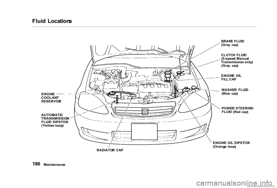 HONDA CIVIC SEDAN 2000  Owners Manual (in English) 
Flui
d  Location s
ENGIN E

COOLAN T

RESERVOI R

AUTOMATI C
TRANSMISSIO N

FLUI D  DIPSTIC K

(Yello w loop )

RADIATOR  CA P BRAK
E FLUI D
(Gra y  cap )
CLUTC H  FLUI D

(5-spee d Manua l

Transmis