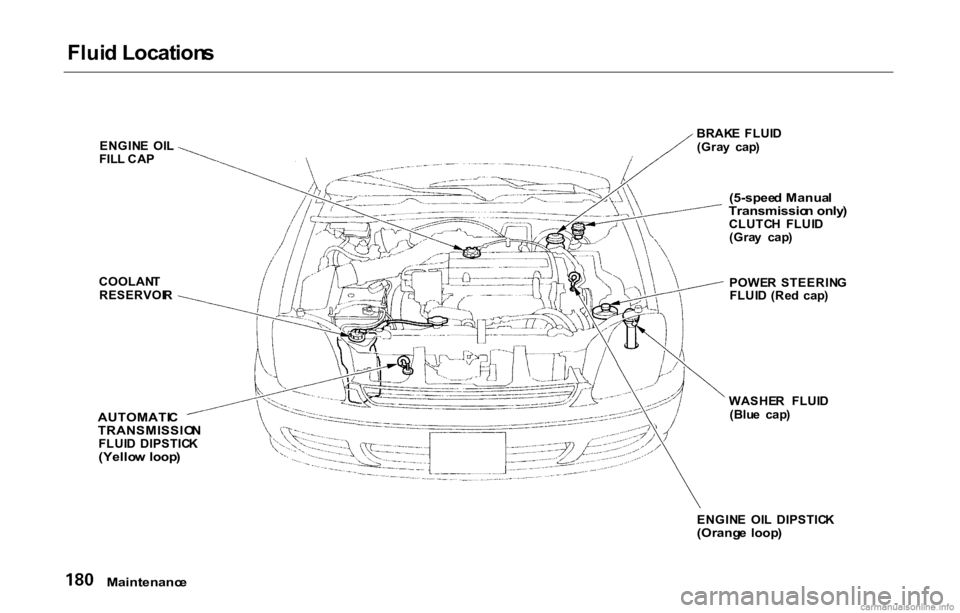 HONDA PRELUDE 2000 Owners Manual (in English)
Flui
d Location s
ENGIN E OI L
FIL L CA P
COOLAN T
RESERVOI R
AUTOMATI C
TRANSMISSIO N
FLUI D DIPSTIC K
(Yello w loop )
BRAK
E FLUI D
(Gra y cap )
(5-spee d Manua l
Transmissio n only )
HONDA PRELUDE 2000 Owners Manual (in English)
Flui
d Location s
ENGIN E OI L
FIL L CA P
COOLAN T
RESERVOI R
AUTOMATI C
TRANSMISSIO N
FLUI D DIPSTIC K
(Yello w loop )
BRAK
E FLUI D
(Gra y cap )
(5-spee d Manua l
Transmissio n only )