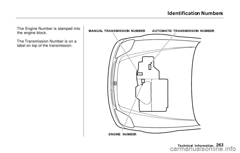 HONDA PRELUDE 2000 Owners Manual (in English)
Identificatio
n Number s
The Engine Number is stamped into the engine block.
The Transmission Number is on a label on top of the transmission.
MANUA
L TRANSMISSIO N NUMBE R
ENGIN E NUMBE R
Techn HONDA PRELUDE 2000 Owners Manual (in English)
Identificatio
n Number s
The Engine Number is stamped into the engine block.
The Transmission Number is on a label on top of the transmission.
MANUA
L TRANSMISSIO N NUMBE R
ENGIN E NUMBE R
Techn