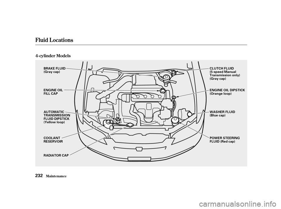 HONDA ACCORD 2001 CF / 6.G Owners Manual Maint enance
Fluid Locations
4-cylinder Models 232
BBRRAAKKEEFFLLUUIIDD((GGrraayyccaapp))
EENNGGIINNEEOOIILLFFIILLLLCCAAPP
CCOOOOLLAANNTTRREESSEERRVVOOIIRR
AAUUTTOOMMAATTIICCTTRRAANNSSMMIISSSSIIOONNFF HONDA ACCORD 2001 CF / 6.G Owners Manual Maint enance
Fluid Locations
4-cylinder Models 232
BBRRAAKKEEFFLLUUIIDD((GGrraayyccaapp))
EENNGGIINNEEOOIILLFFIILLLLCCAAPP
CCOOOOLLAANNTTRREESSEERRVVOOIIRR
AAUUTTOOMMAATTIICCTTRRAANNSSMMIISSSSIIOONNFF