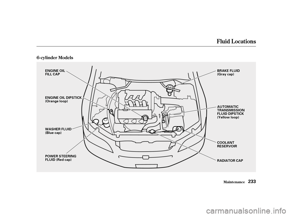 HONDA ACCORD 2001 CF / 6.G Owners Manual Fluid Locations
Maint enance
6-cylinder Models
233
EENNGGIINNEEOOIILLFFIILLLLCCAAPP
PPOOWWEERRSSTTEEEERRIINNGGFFLLUUIIDD((RReeddccaapp))
BBRRAAKKEEFFLLUUIIDD((GGrraayyccaapp))
WWAASSHHEERRFFLLUUIIDD(( HONDA ACCORD 2001 CF / 6.G Owners Manual Fluid Locations
Maint enance
6-cylinder Models
233
EENNGGIINNEEOOIILLFFIILLLLCCAAPP
PPOOWWEERRSSTTEEEERRIINNGGFFLLUUIIDD((RReeddccaapp))
BBRRAAKKEEFFLLUUIIDD((GGrraayyccaapp))
WWAASSHHEERRFFLLUUIIDD((