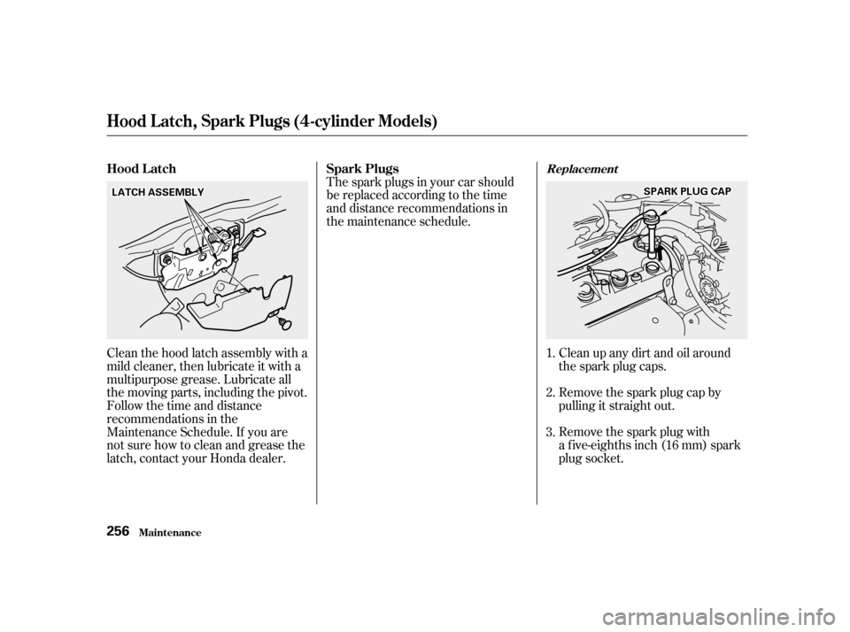 HONDA ACCORD 2001 CF / 6.G Owners Manual Clean up any dirt and oil around 
the spark plug caps. 
Remove the spark plug cap by 
pulling it straight out. 
Remove the spark plug with 
a f ive-eighths inch (16 mm) spark
plug socket.
The spark pl