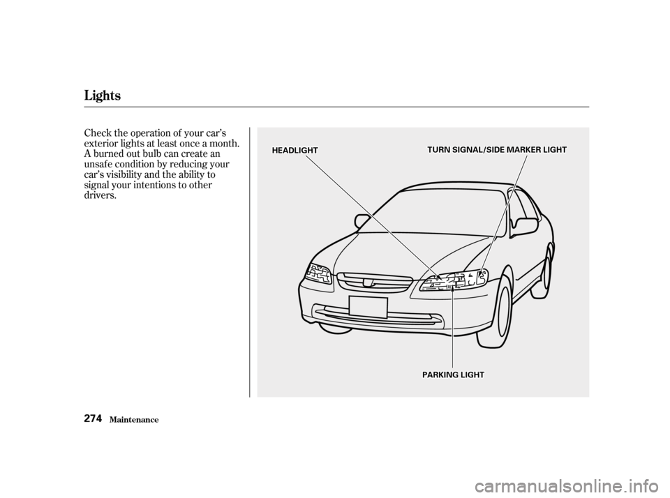 HONDA ACCORD 2001 CF / 6.G Owners Manual Check the operation of your car’s 
exterior lights at least once a month.
A burned out bulb can create an
unsaf e condition by reducing your
car’s visibility and the ability to
signal your intenti
