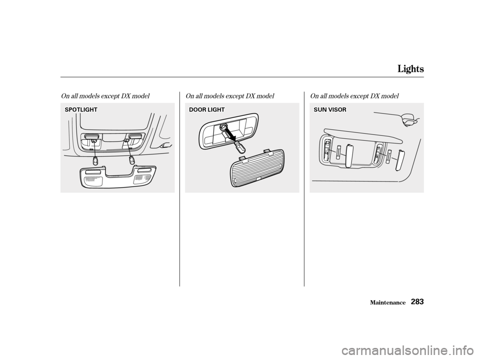 HONDA ACCORD 2001 CF / 6.G Owners Manual On all models except DX model On all models except DX model On all models except DX model
Lights
Maint enance283
SSPPOOTTLLIIGGHHTTDDOOOORRLLIIGGHHTTSSUUNNVVIISSOORR 