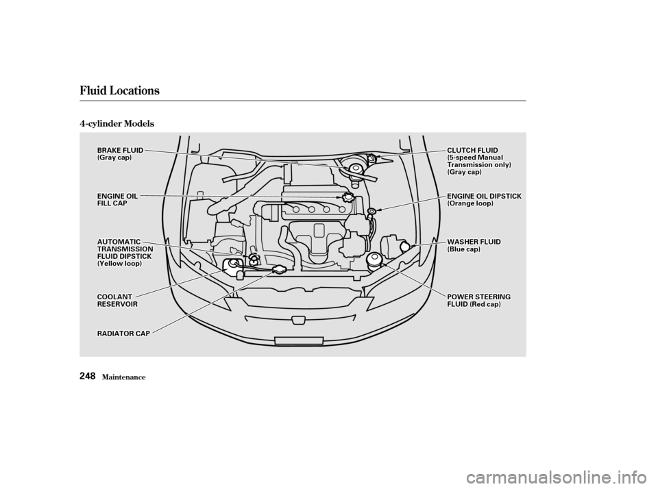 HONDA ACCORD 2002 CL7 / 7.G Owners Manual Maint enance
Fluid Locations
4-cylinder Models
248
BBRRAAKKEEFFLLUUIIDD((GGrraayyccaapp))
EENNGGIINNEEOOIILLFFIILLLLCCAAPP
CCOOOOLLAANNTTRREESSEERRVVOOIIRR
AAUUTTOOMMAATTIICCTTRRAANNSSMMIISSSSIIOONNFF