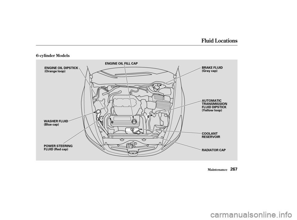 HONDA ACCORD 2003 CL7 / 7.G User Guide 6-cylinder Models
Fluid Locations
Maint enance267
ENGINE OIL FILL CAPBRAKE FLUID 
(Gray cap) 
AUTOMATIC 
TRANSMISSION
FLUID DIPSTICK
(Yellow loop) 
COOLANT 
RESERVOIR 
RADIATOR CAP
POWER STEERING 
FLU