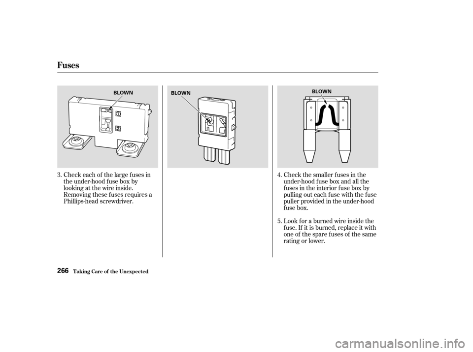 HONDA ACCORD 2004 CL7 / 7.G Owners Manual Check each of the large f uses in 
the under-hood f use box by
looking at the wire inside.
Removing these f uses requires a
Phillips-head screwdriver.Check the smaller f uses in the
under-hood f use b