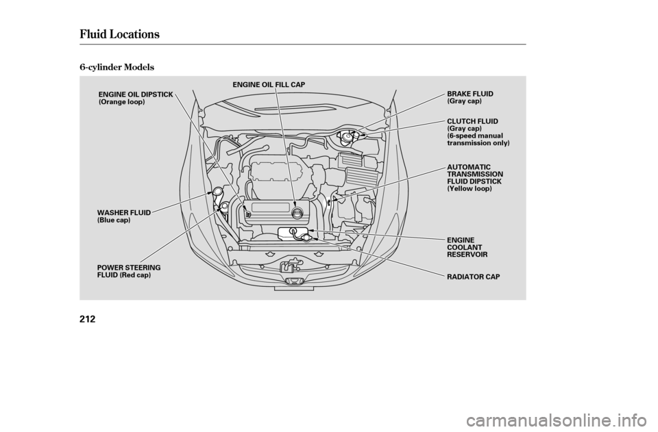 HONDA ACCORD 2005 CL7 / 7.G Owners Manual Fluid Locations
6-cylinder Models
212
ENGINE OIL FILL CAPRADIATOR CAP
ENGINE OIL DIPSTICK 
(Orange loop)
WASHER FLUID
(Blue cap) 
POWER STEERING 
FLUID (Red cap) BRAKE FLUID
(Gray cap) 
AUTOMATIC 
TRA