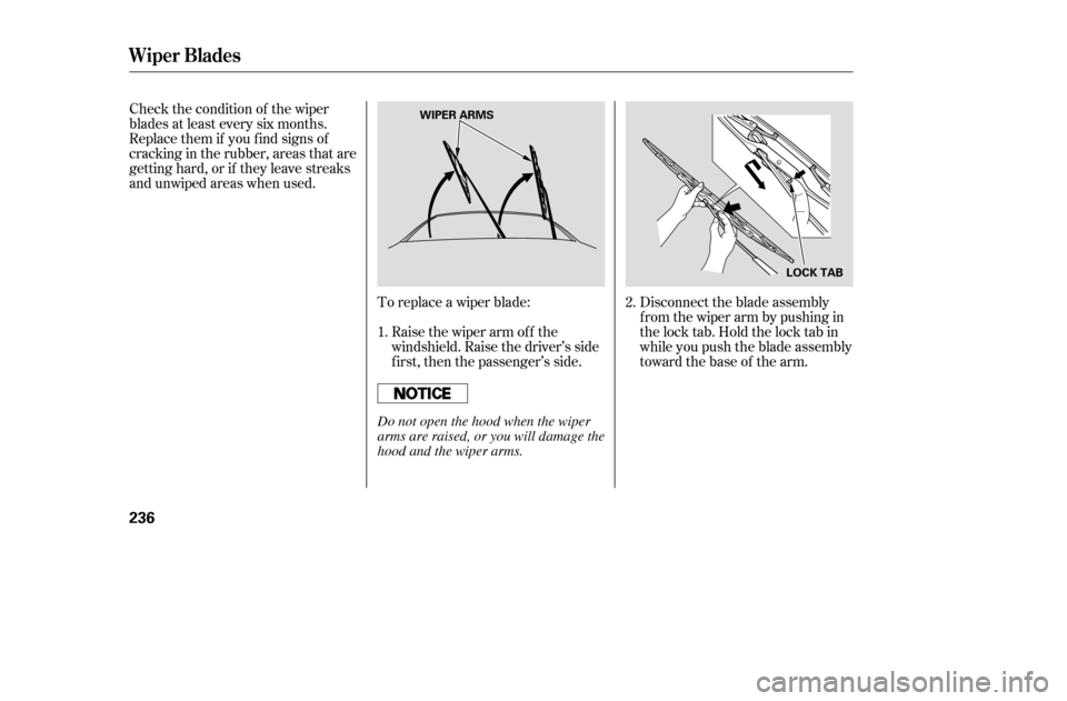 HONDA ACCORD 2005 CL7 / 7.G Owners Manual To replace a wiper blade:Raise the wiper arm of f the
windshield. Raise the driver’s side
first, then the passenger’s side. Disconnect the blade assembly
fromthewiperarmbypushingin
the lock tab. HONDA ACCORD 2005 CL7 / 7.G Owners Manual To replace a wiper blade:Raise the wiper arm of f the
windshield. Raise the driver’s side
first, then the passenger’s side. Disconnect the blade assembly
fromthewiperarmbypushingin
the lock tab.