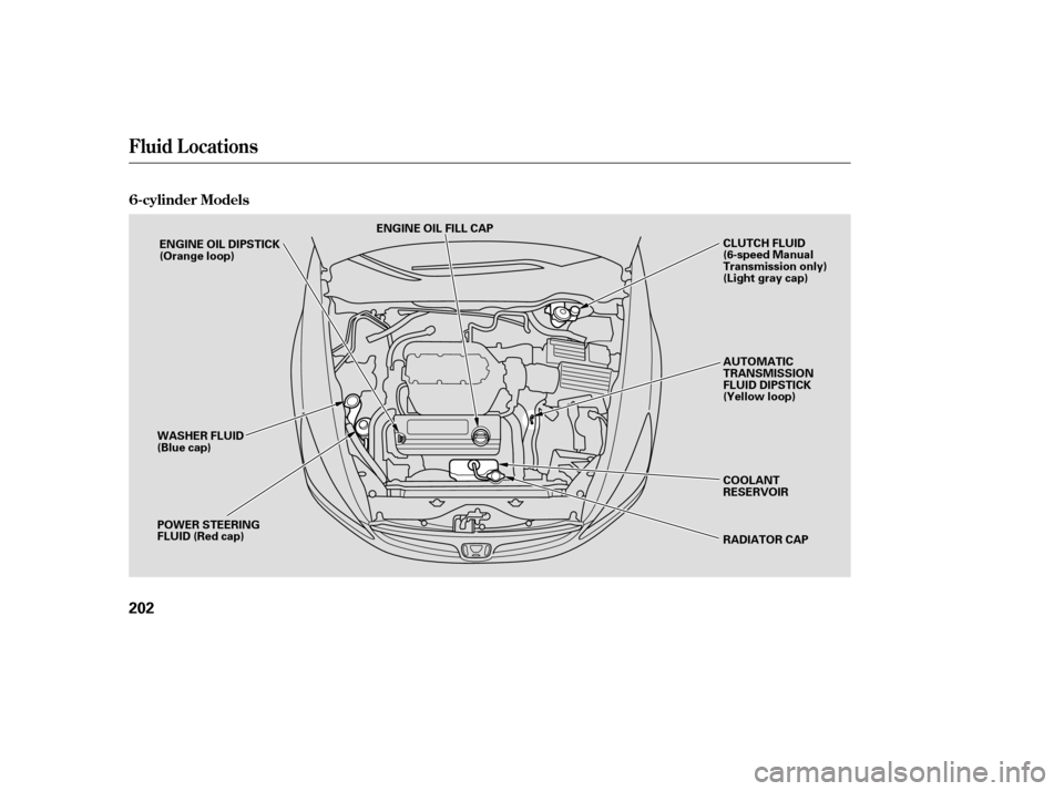 HONDA ACCORD 2006 CL7 / 7.G Service Manual 6-cylinder Models
Fluid Locations
202
ENGINE OIL FILL CAPAUTOMATIC 
TRANSMISSION
FLUID DIPSTICK
(Yellow loop) 
COOLANT 
RESERVOIR 
RADIATOR CAP
POWER STEERING 
FLUID (Red cap)
WASHER FLUID
(Blue cap) 
