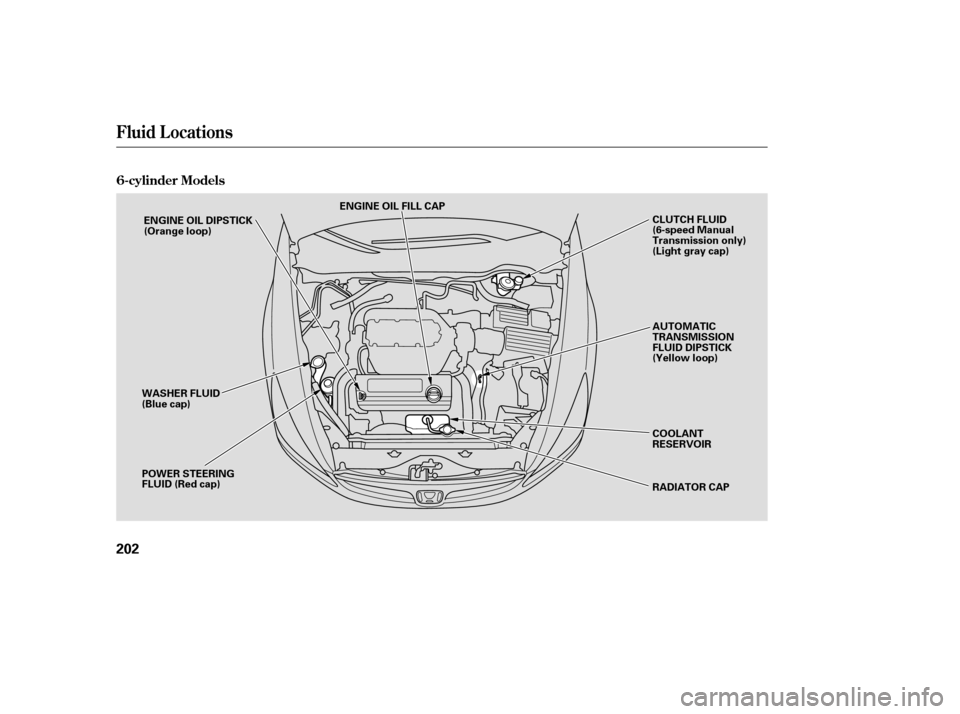 HONDA ACCORD 2006 CL7 / 7.G Owners Manual 6-cylinder Models
Fluid Locations
202
ENGINE OIL FILL CAPAUTOMATIC 
TRANSMISSION
FLUID DIPSTICK
(Yellow loop) 
COOLANT 
RESERVOIR 
RADIATOR CAP
POWER STEERING 
FLUID (Red cap)
WASHER FLUID
(Blue cap) 