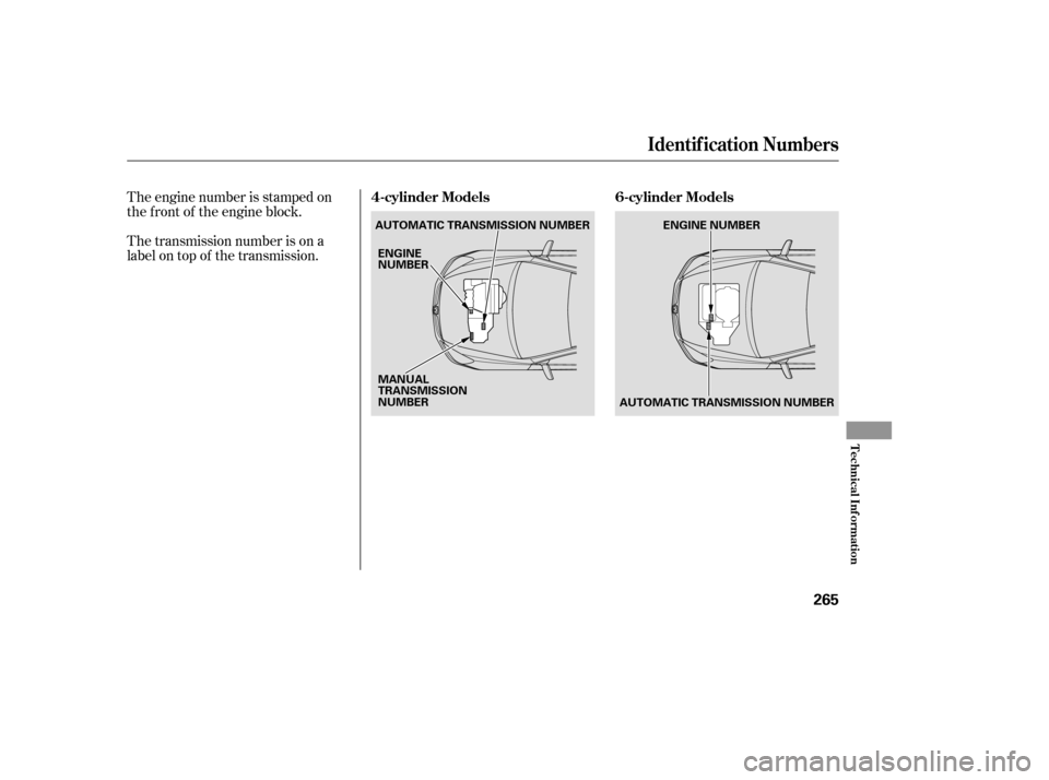 HONDA ACCORD 2006 CL7 / 7.G Owners Manual The transmission number is on a 
label on top of the transmission.
The engine number is stamped on
the f ront of the engine block.
Identif ication Numbers
4-cylinder Models 6-cylinder Models
T echnica