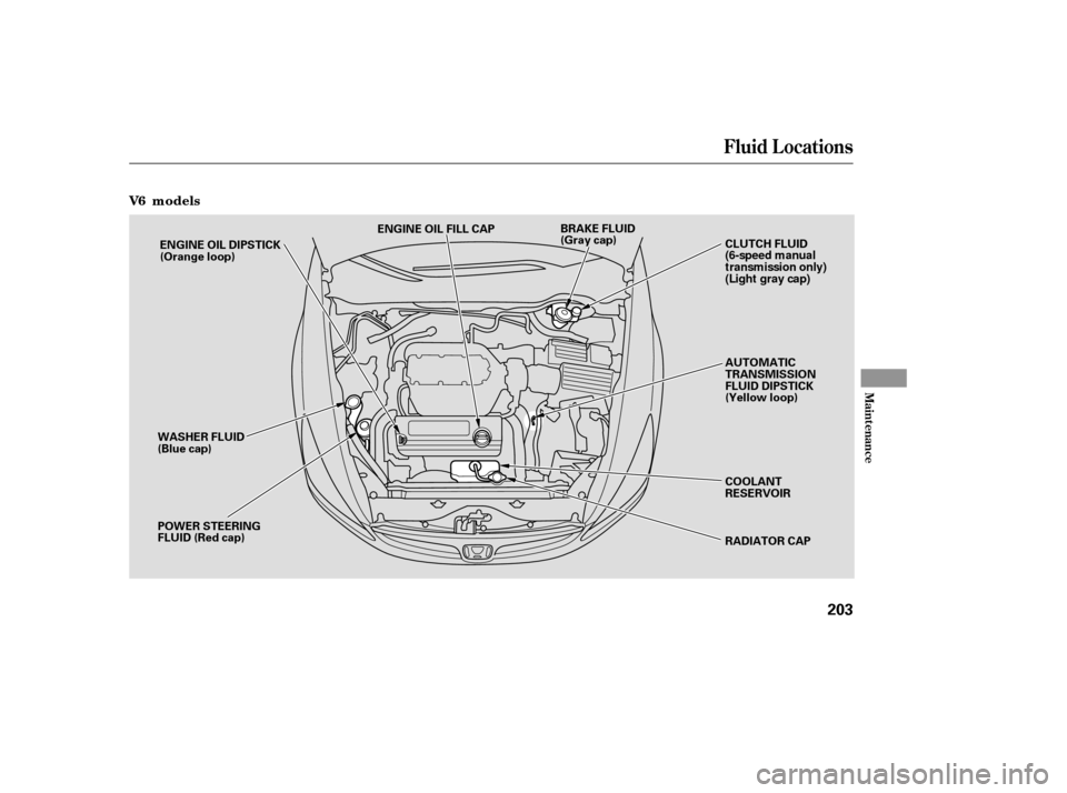 HONDA ACCORD 2007 CL7 / 7.G Service Manual V6   m odels
Fluid Locations
Maint enance
203
ENGINE OIL FILL CAPAUTOMATIC 
TRANSMISSION
FLUID DIPSTICK
(Yellow loop) 
COOLANT 
RESERVOIR 
RADIATOR CAP
POWER STEERING 
FLUID (Red cap)
WASHER FLUID
(Bl