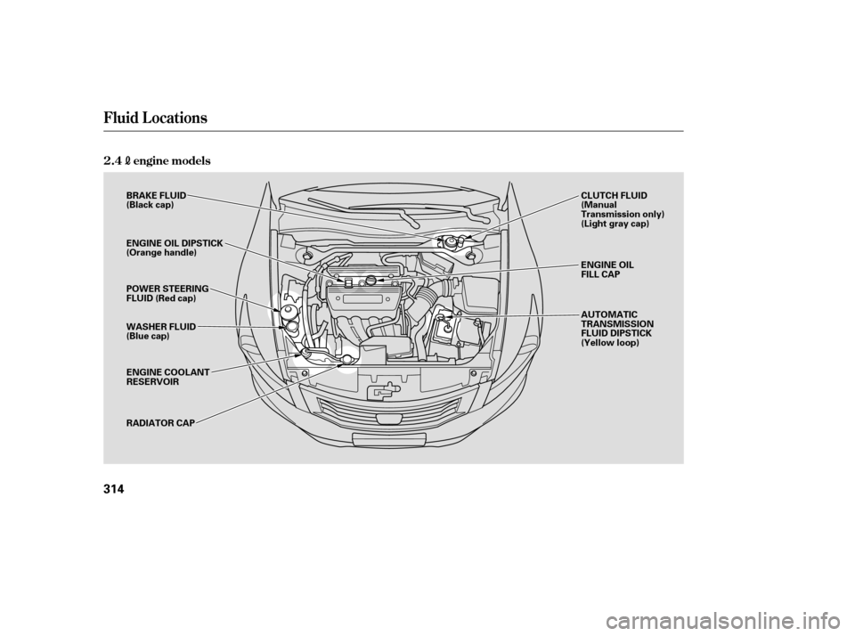 HONDA ACCORD 2008 8.G Owners Manual Fluid Locations
2.4engine models
314
ENGINE OIL 
FILL CAP
CLUTCH FLUID
(Manual
Transmission only)
(Light gray cap)
BRAKE FLUID
(Black cap) 
RADIATOR CAP
ENGINE OIL DIPSTICK 
(Orange handle) 
POWER STE