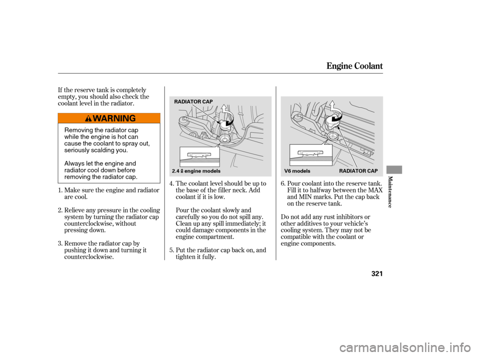 HONDA ACCORD 2008 8.G Owners Manual The coolant level should be up to 
the base of the f iller neck. Add
coolant if it is low. 
Pourthecoolantslowlyand 
caref ully so you do not spill any.
Clean up any spill immediately; it
could damage