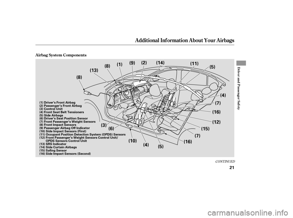 HONDA ACCORD 2009 8.G User Guide CONT INUED
Additional Inf ormation About Your Airbags
A irbag System Components
Driver and Passenger Saf ety
21
(3)(5) (7)
(4)
(7) (12)
(6)
(8)
(8)
(1)
(9)
(2)
(11)
(5)
(13) (14)
(10) (4) (15)(16)
(16
