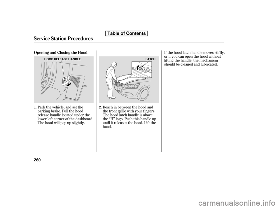 HONDA ACCORD 2010 8.G Owners Manual Park the vehicle, and set the 
parking brake. Pull the hood
release handle located under the
lower lef t corner of the dashboard.
The hood will pop up slightly.Reach in between the hood and
the f ront