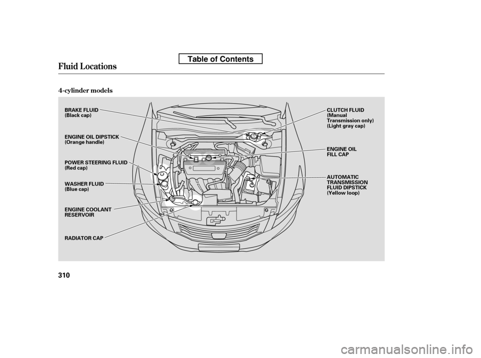 HONDA ACCORD 2010 8.G Owners Manual Fluid Locations
4-cylinder models
310
ENGINE OIL 
FILL CAP
CLUTCH FLUID
(Manual
Transmission only)
(Light gray cap) 
AUTOMATIC 
TRANSMISSION
FLUID DIPSTICK
(Yellow loop)
BRAKE FLUID
(Black cap) 
ENGIN