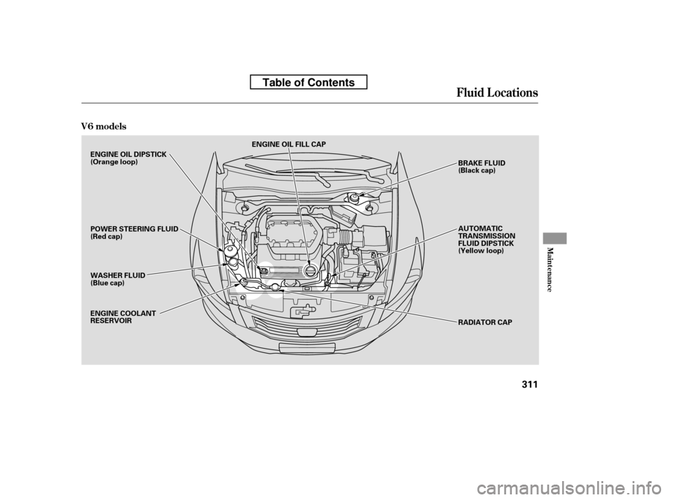 HONDA ACCORD 2010 8.G Owners Manual Fluid Locations
V6 models
Maint enance
311
ENGINE OIL FILL CAPBRAKE FLUID 
(Black cap) 
AUTOMATIC 
TRANSMISSION
FLUID DIPSTICK
(Yellow loop) 
RADIATOR CAP
ENGINE OIL DIPSTICK 
(Orange loop) 
POWER STE