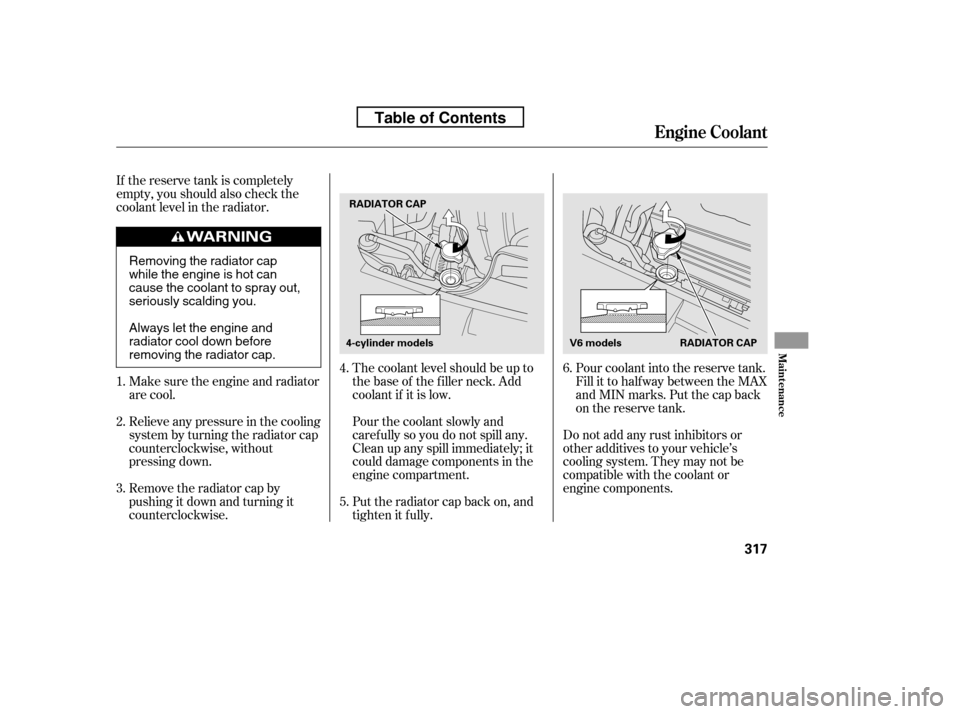 HONDA ACCORD 2010 8.G Owners Manual The coolant level should be up to 
the base of the f iller neck. Add
coolant if it is low. 
Pourthecoolantslowlyand 
caref ully so you do not spill any.
Clean up any spill immediately; it
could damage