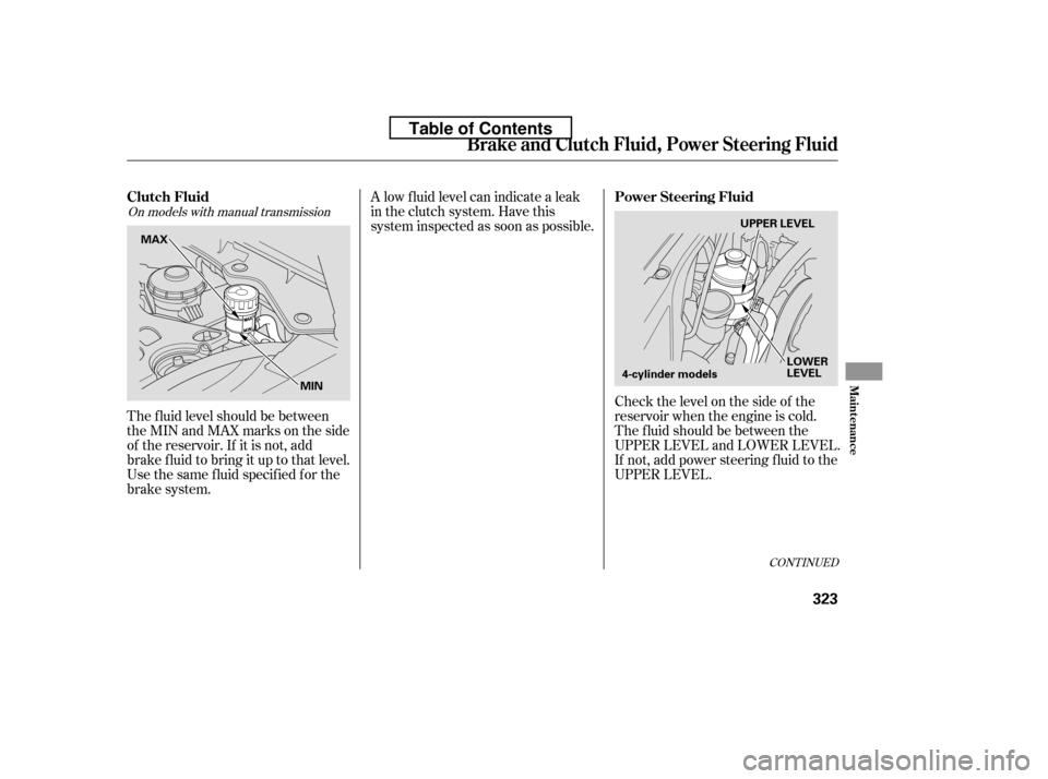 HONDA ACCORD 2010 8.G Owners Manual Check the level on the side of the 
reservoir when the engine is cold.
The f luid should be between the
UPPER LEVEL and LOWER LEVEL.
If not, add power steering f luid to the
UPPER LEVEL.
The f luid le