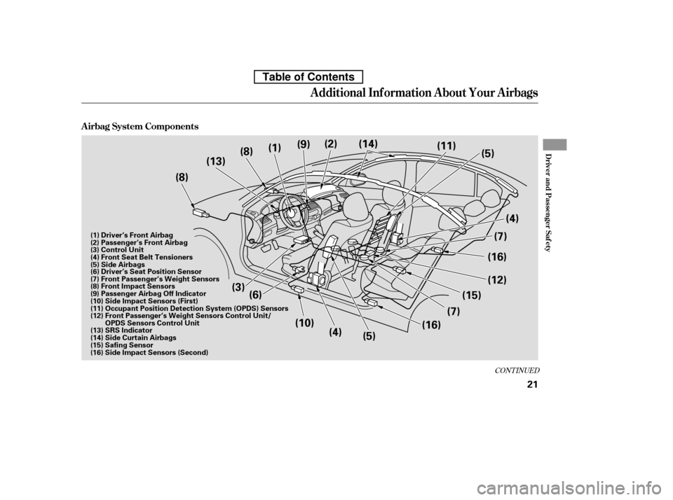 HONDA ACCORD 2010 8.G Owners Manual CONT INUED
Additional Inf ormation About Your Airbags
A irbag System Components
Driver and Passenger Saf ety
21
(3)(5) (7)
(4)
(7) (12)
(6)
(8)
(8)
(1)
(9)
(2)
(11)
(5)
(13) (14)
(10) (4) (15)(16)
(16 HONDA ACCORD 2010 8.G Owners Manual CONT INUED
Additional Inf ormation About Your Airbags
A irbag System Components
Driver and Passenger Saf ety
21
(3)(5) (7)
(4)
(7) (12)
(6)
(8)
(8)
(1)
(9)
(2)
(11)
(5)
(13) (14)
(10) (4) (15)(16)
(16