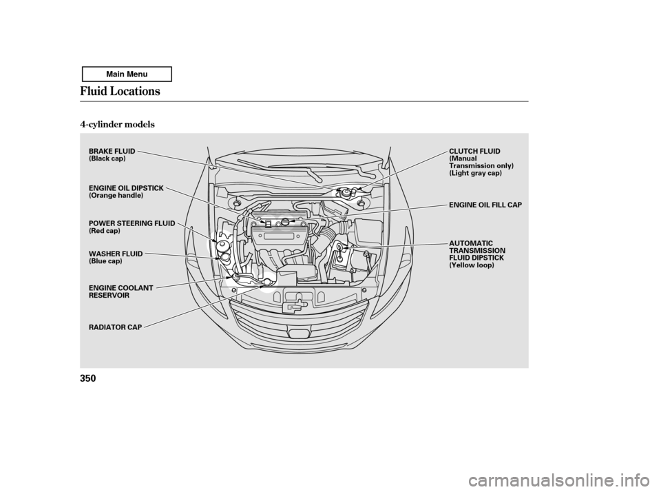 HONDA ACCORD 2011 8.G Owners Manual Fluid Locations
4-cylinder models
350
CLUTCH FLUID 
(Manual
Transmission only)
(Light gray cap) 
AUTOMATIC 
TRANSMISSION
FLUID DIPSTICK
(Yellow loop)
BRAKE FLUID
(Black cap) 
ENGINE OIL DIPSTICK 
(Ora