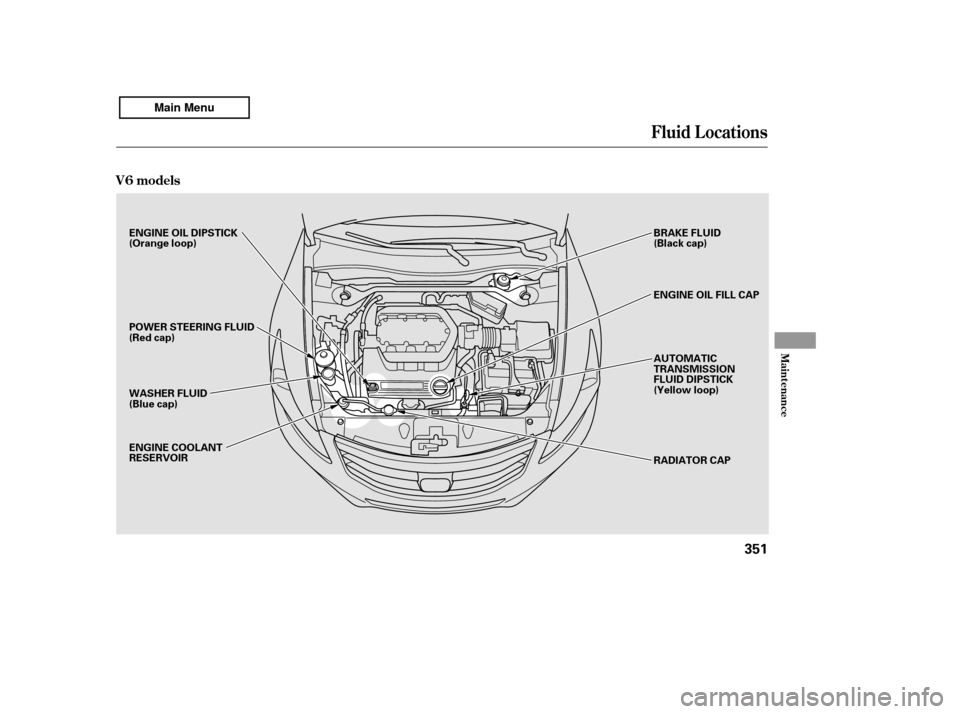 HONDA ACCORD 2011 8.G Owners Manual Fluid Locations
V6 models
Maint enance
351
BRAKE FLUID 
(Black cap) 
RADIATOR CAP
ENGINE OIL DIPSTICK 
(Orange loop) 
POWER STEERING FLUID 
(Red cap) 
WASHER FLUID 
(Blue cap) 
ENGINE COOLANT 
RESERVO