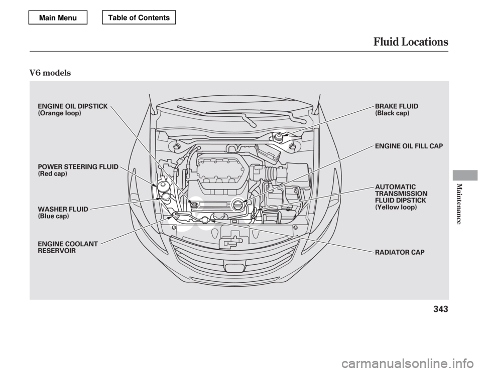 HONDA ACCORD 2012 8.G Owners Manual Fluid Locations
V6 models
Maint enance
343
BRAKE FLUID 
(Black cap) 
RADIATOR CAP
ENGINE OIL DIPSTICK 
(Orange loop) 
POWER STEERING FLUID 
(Red cap) 
WASHER FLUID 
(Blue cap) 
ENGINE COOLANT 
RESERVO