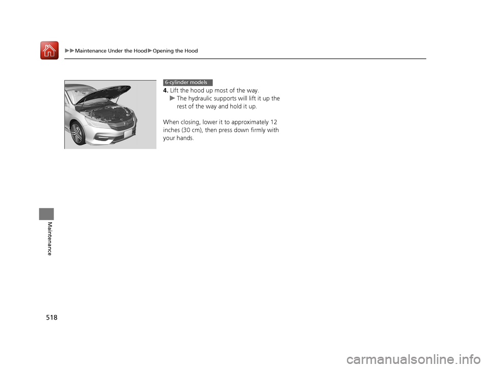 HONDA ACCORD 2017 9.G Owners Manual 518
uuMaintenance Under the Hood uOpening the Hood
Maintenance
4. Lift the hood up most of the way.
u The hydraulic supports will lift it up the
rest of the way and hold it up.
When closing, lower it HONDA ACCORD 2017 9.G Owners Manual 518
uuMaintenance Under the Hood uOpening the Hood
Maintenance
4. Lift the hood up most of the way.
u The hydraulic supports will lift it up the
rest of the way and hold it up.
When closing, lower it