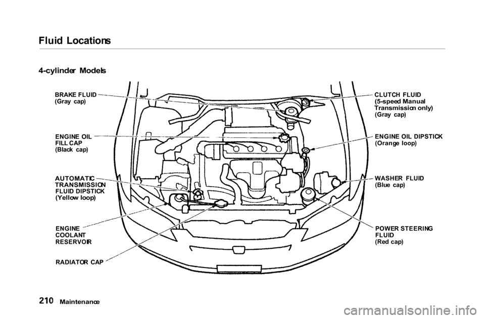 HONDA ACCORD COUPE 2000 CF / 6.G Owners Manual Flui
d Location s
4-cylinde r Model s
Maintenanc e
CLUTC
H FLUI D
(5-spee d Manua l
Transmissio n only )
(Gra y cap )
ENGIN E OI L DIPSTIC K
(Orang e loop )
WASHE R FLUI D
(Blu e cap )
P HONDA ACCORD COUPE 2000 CF / 6.G Owners Manual Flui
d Location s
4-cylinde r Model s
Maintenanc e
CLUTC
H FLUI D
(5-spee d Manua l
Transmissio n only )
(Gra y cap )
ENGIN E OI L DIPSTIC K
(Orang e loop )
WASHE R FLUI D
(Blu e cap )
P