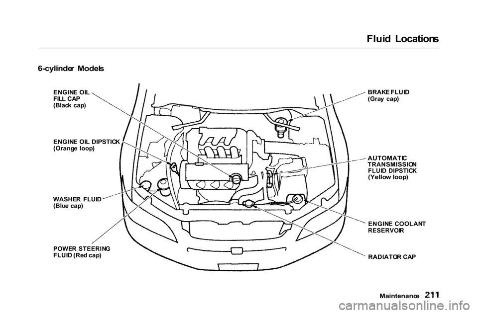 HONDA ACCORD COUPE 2000 CF / 6.G Owners Manual
Flui
d Location s
6-cylinde r Model s
Maintenance
ENGIN
E OI L
FIL L CA P
(Blac k cap ) BRAK
E FLUI D
(Gra y cap )
AUTOMATI C
TRANSMISSIO N
FLUI D DIPSTIC K
(Yello w loop )
ENGIN E COOLA HONDA ACCORD COUPE 2000 CF / 6.G Owners Manual
Flui
d Location s
6-cylinde r Model s
Maintenance
ENGIN
E OI L
FIL L CA P
(Blac k cap ) BRAK
E FLUI D
(Gra y cap )
AUTOMATI C
TRANSMISSIO N
FLUI D DIPSTIC K
(Yello w loop )
ENGIN E COOLA
