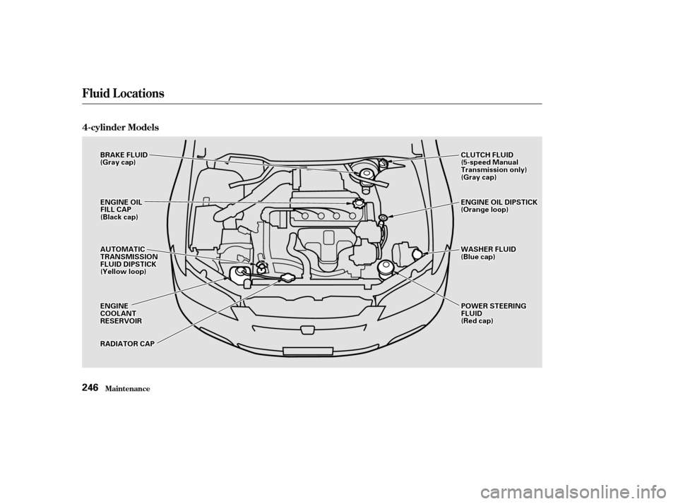 HONDA ACCORD COUPE 2002 CL7 / 7.G Owners Manual Maint enance
Fluid Locations
4-cylinder Models
246
B
BRRAA K
KEE F
FLLUUI IDD
(
( G
Gr raay y c
caap p )
)
E
EN
NG GIINNE E O
OIILL D
DI
IPP S
ST TI
ICCK K
(
( O
Or raan n g
ge
e l
loo o
op
p)
)
W
WA 
