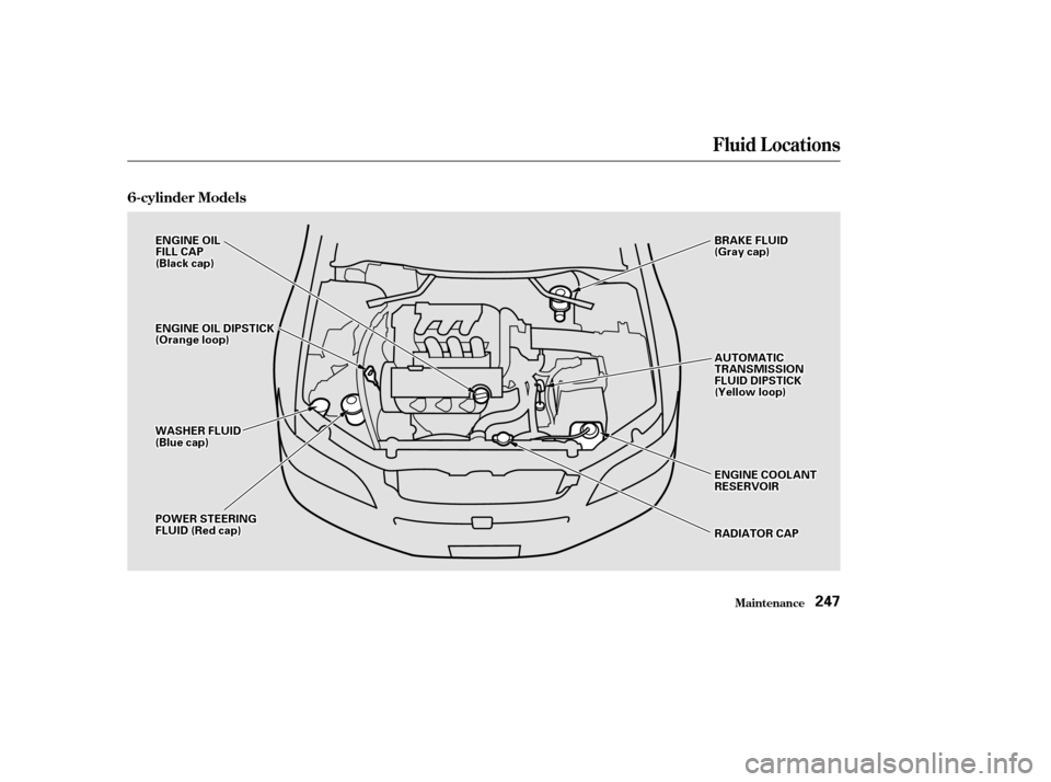 HONDA ACCORD COUPE 2002 CL7 / 7.G Owners Manual Fluid Locations
Maint enance
6-cylinder Models
247
P
PO
OW WE ER
R S
STTE
EE
ER
RI INNG G
F
FL LUUI IDD (
(R
Re edd c
caap p )
) B
BR
RAA K
KEE F
FLLUUI IDD
(
( G
Gr raay y c
caap p )
)
W
WA AS
SHH E
