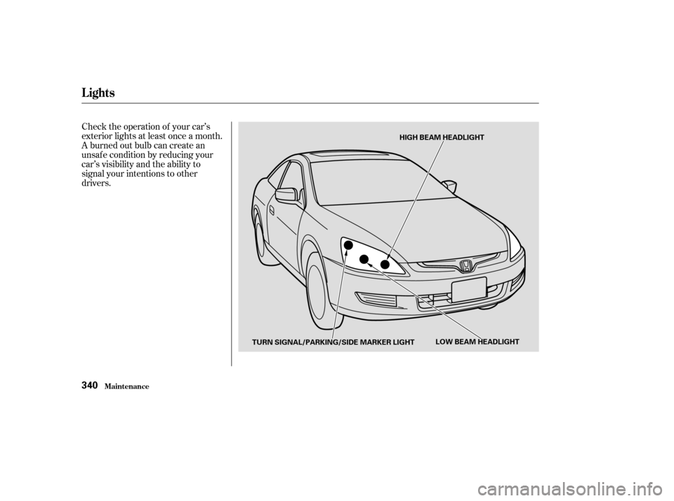 HONDA ACCORD COUPE 2003 CL7 / 7.G Owners Manual Check the operation of your car’s
exterior lights at least once a month.
A burned out bulb can create an
unsaf e condition by reducing your
car’s visibility and the ability to
signal your intentio HONDA ACCORD COUPE 2003 CL7 / 7.G Owners Manual Check the operation of your car’s
exterior lights at least once a month.
A burned out bulb can create an
unsaf e condition by reducing your
car’s visibility and the ability to
signal your intentio