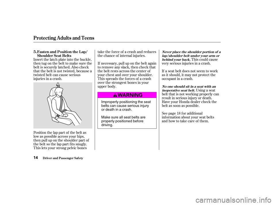 HONDA ACCORD COUPE 2004 CL7 / 7.G User Guide Insert the latch plate into the buckle, 
then tug on the belt to make sure the
belt is securely latched. Also check
that the belt is not twisted, because a
twisted belt can cause serious
injuries in a