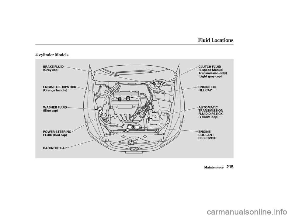 HONDA ACCORD COUPE 2004 CL7 / 7.G Owners Manual Fluid Locations
Maint enance
4-cylinder Models
215
BRAKE FLUID 
(Gray cap) 
ENGINE OIL DIPSTICK 
(Orange handle) 
WASHER FLUID 
(Blue cap) 
POWER STEERING 
FLUID (Red cap) 
RADIATOR CAPAUTOMATIC 
TRAN