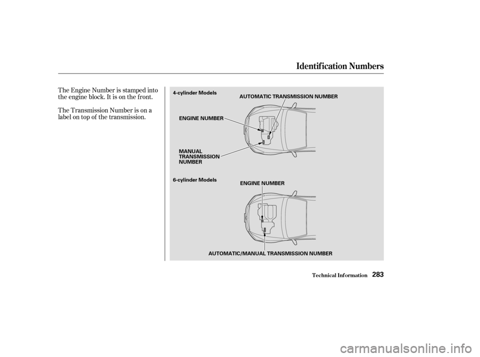 HONDA ACCORD COUPE 2004 CL7 / 7.G Manual PDF The Engine Number is stamped into 
the engine block. It is on the f ront. 
The Transmission Number is on a 
label on top of the transmission.
Identif ication Numbers
T echnical Inf ormation283
AUTOMAT