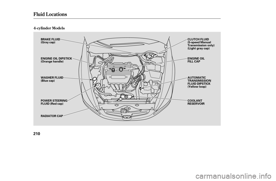 HONDA ACCORD COUPE 2005 CL7 / 7.G Owners Manual Fluid Locations
4-cylinder Models
210
BRAKE FLUID 
(Gray cap) 
ENGINE OIL DIPSTICK 
(Orange handle) 
WASHER FLUID 
(Blue cap) 
POWER STEERING 
FLUID (Red cap) 
RADIATOR CAPCLUTCH FLUID 
(5-speed Manua