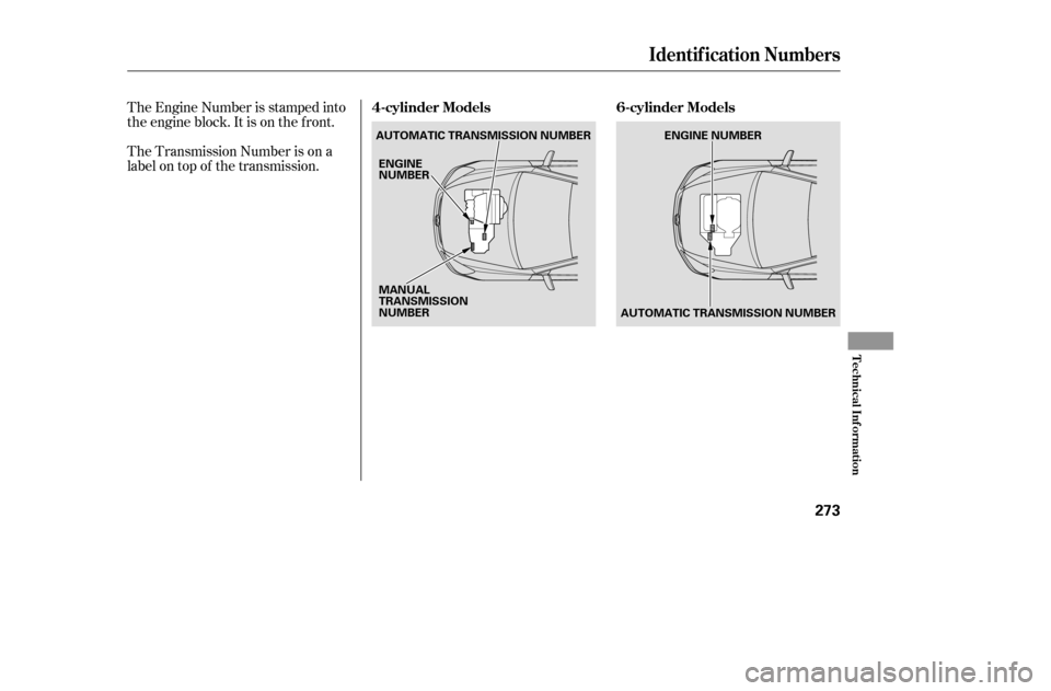 HONDA ACCORD COUPE 2005 CL7 / 7.G Repair Manual The Engine Number is stamped into 
the engine block. It is on the f ront. 
The Transmission Number is on a 
label on top of the transmission.
Identif ication Numbers
4-cylinder Models 6-cylinder Model