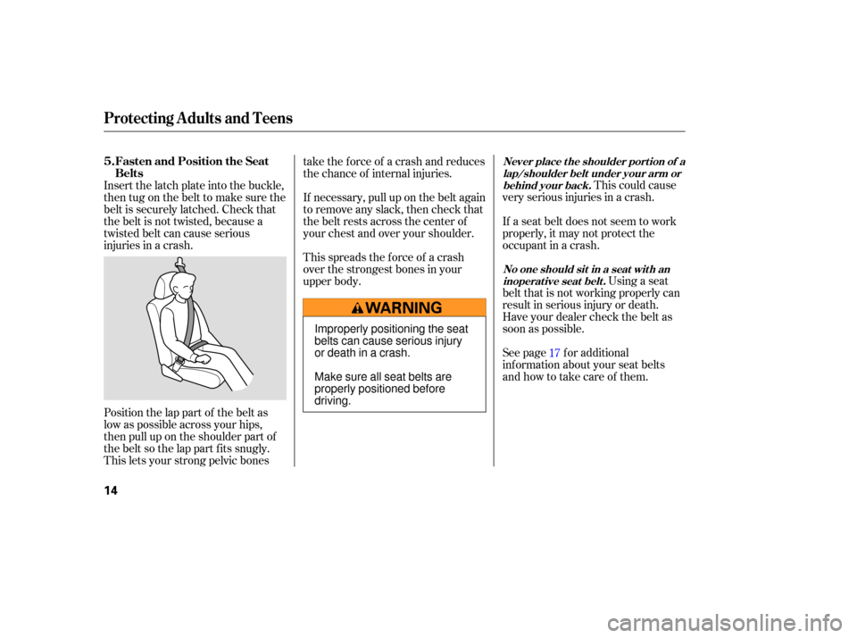 HONDA ACCORD COUPE 2006 CL7 / 7.G User Guide This could  cause
very  serious  injuries  in a crash.
Position  the lap part  of the  belt  as
low  as possible  across your hips,
then  pull up on  the  shoulder  part  of
the  belt  so the  lap par