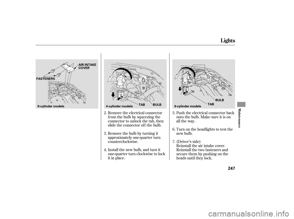 HONDA ACCORD COUPE 2006 CL7 / 7.G Owners Manual Remove the electrical connector
f rom the bulb by squeezing the
connector to unlock the tab, then
slide the connector of f the bulb.
Remove the bulb by turning it
approximately one-quarter turn
counte